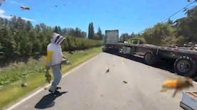 צילום: מסך רשת X